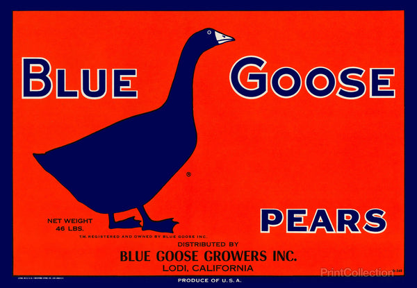 Blue Goose Pears