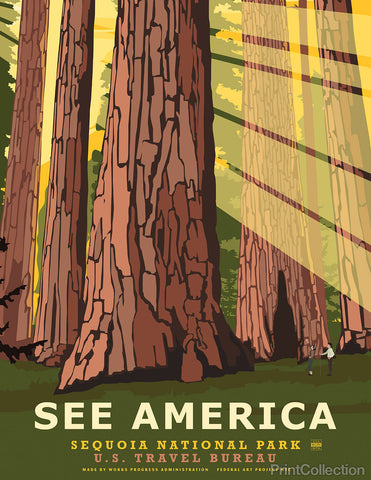 See America, Sequoia National Park