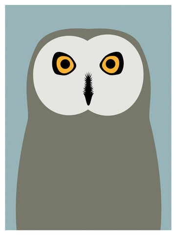 Short Eared Owl, Day