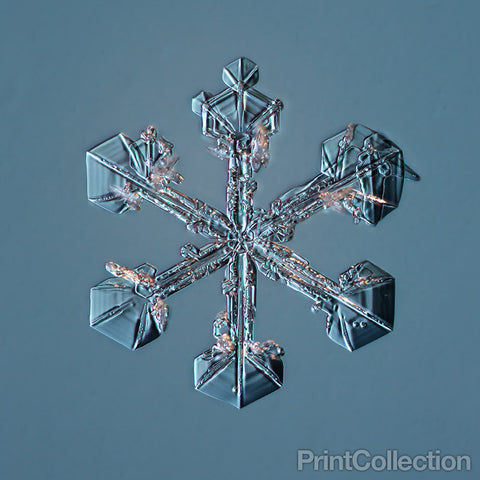 Sectored Plate Snowflake 001.3.23.2014