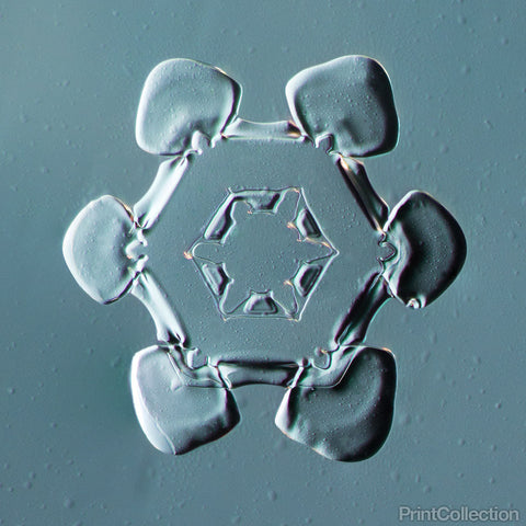 Stellar Plate Snowflake 001.2.14.2014