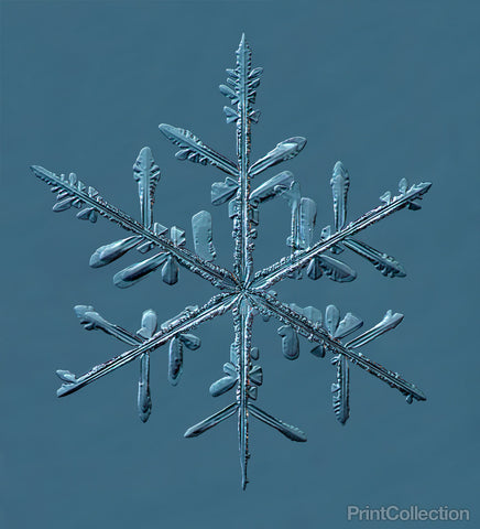 Stellar Dendrite Snowflake 004.03.24.2014