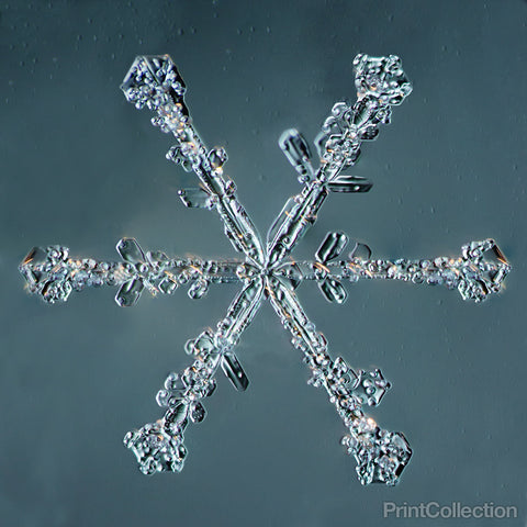 Stellar Dendrite Snowflake 004.2.14.2014