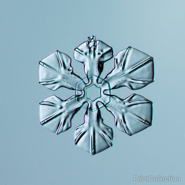 Sectored Plate Snowflake 004.2.16.2014