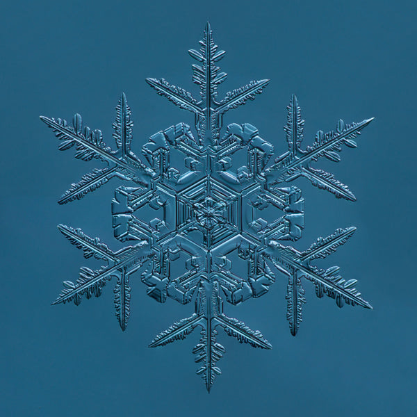 Fernlike Stellar Dendrite Snowflake 2015.02.02.008