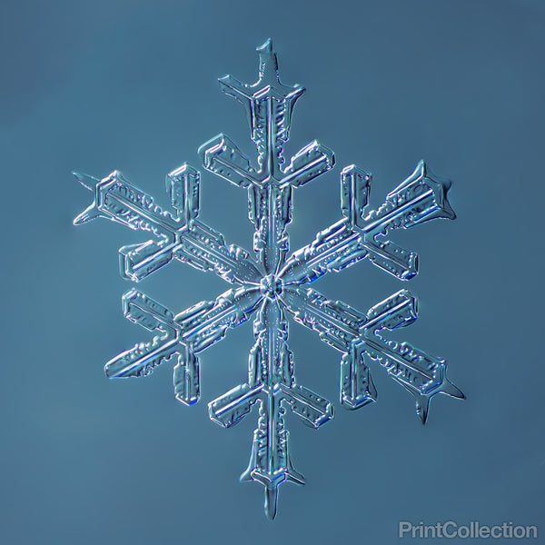Stellar Dendrite Snowflake 001.2.16.2014