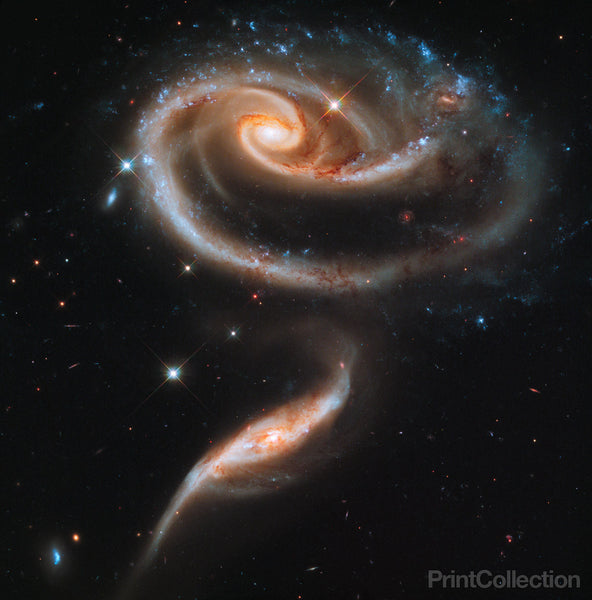 A "Rose" Made of Galaxies Highlights Hubble's 21st Anniversary