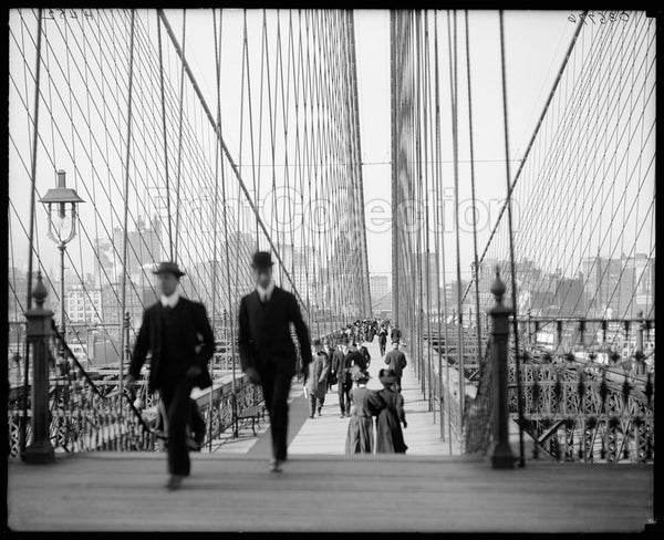 Brooklyn Bridge, Cables