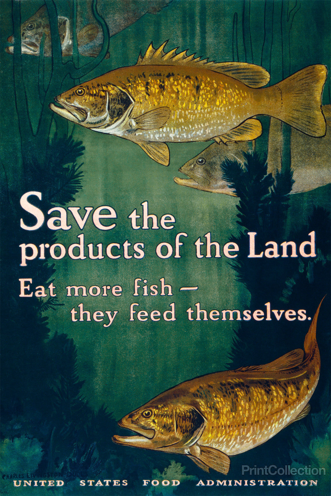 Print Collection Eat More Fish