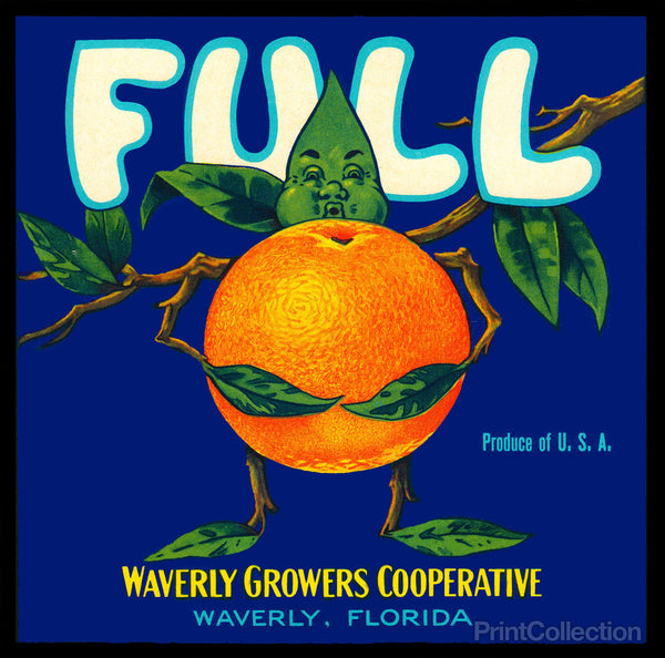 Full Florida Citrus