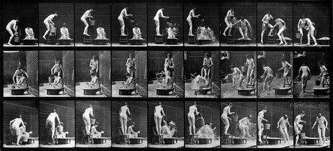 Human Females in Motion Nude Vol 4 - Plate 408