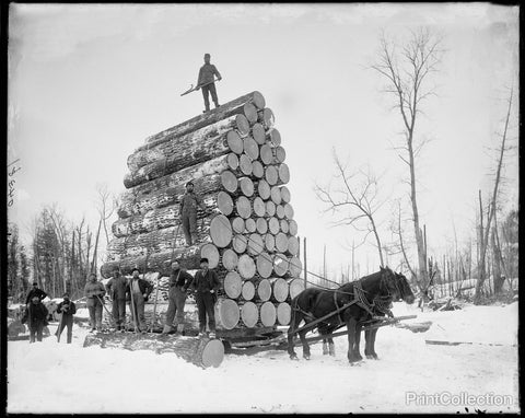 Logging a Big Load in Michigan