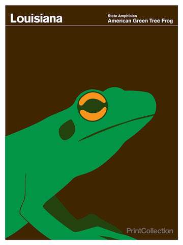 Louisiana American Green Tree Frog