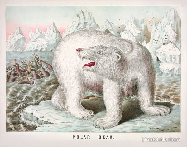 Petrified Polar Bear