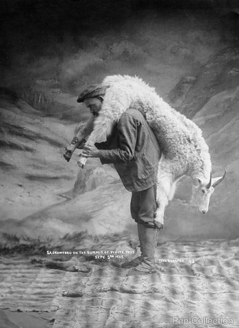 Portrait of Man Carrying a Goat Over Shoulder 1905