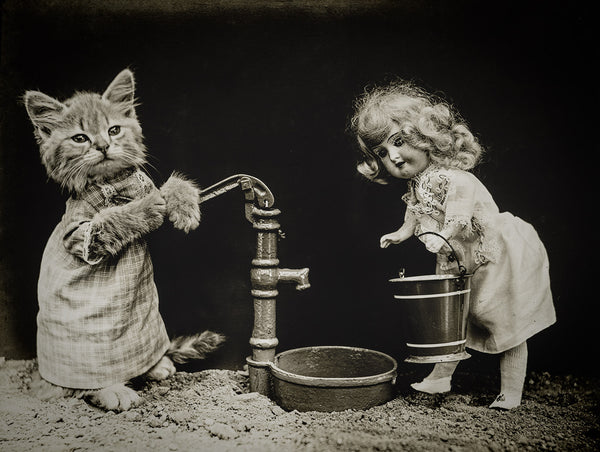 Pumping Water with Cats