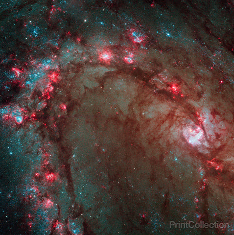 Star Birth in M83, the Southern Pinwheel