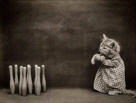 Ten Pins, Bowling with Cats
