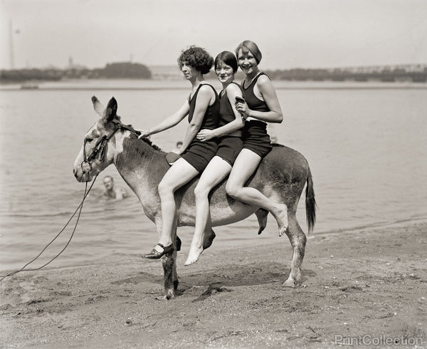 Three Women and a Donkey, 1924