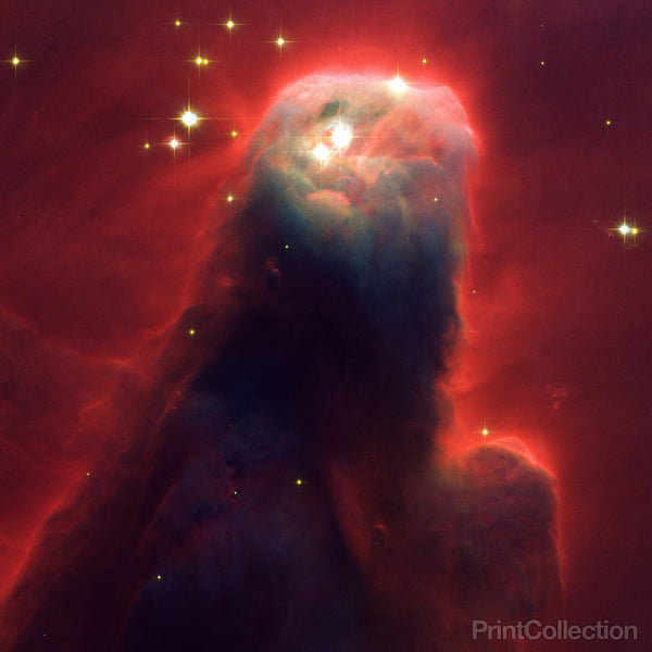 Visible-Light Image of the Cone Nebula